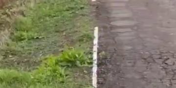 На Кубани начали стирать нанесенную на траву разметку