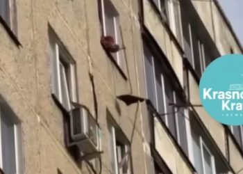 В Краснодаре соседи устроили «битву швабрами»