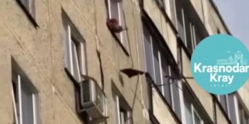 В Краснодаре соседи устроили «битву швабрами»