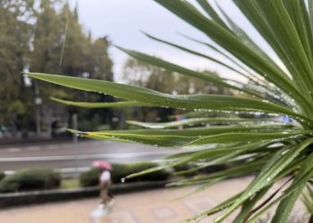 В Сочи ожидаются ливни с грозами и сильный ветер 23 и 24 сентября