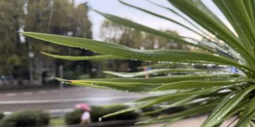 В Сочи ожидаются ливни с грозами и сильный ветер 23 и 24 сентября