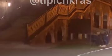 Около мусорного бака в Сочи заметили медведя