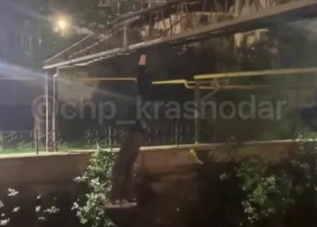 В Сочи молодой человек упал в реку с «кошачьего мостика»