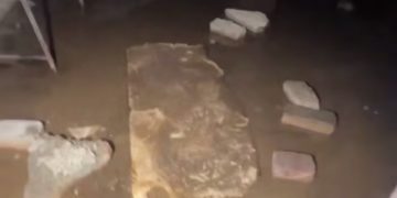 В центре Сочи обнаружили подвал с трупами животных