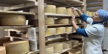 Сочинские экофермы с начала года произвели более 21 тонны сыра